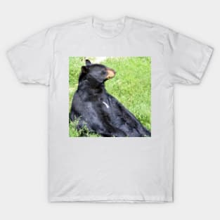 Brown Bear T-Shirt